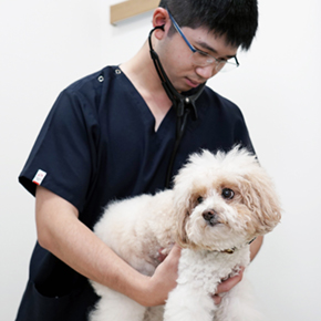 ALLONE動物病院 azamino病院